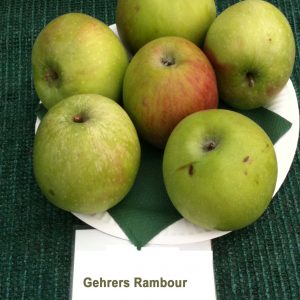 Gehrera Rambour - Apfelbaum – Alte Obstsorten Arboterra GmbH