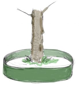 Giessrand - Zubehoer - Alte Obstsorten Arboterra GmbH