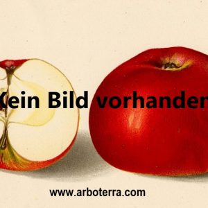 Apfel – Alte Obstsorten Arboterra GmbH