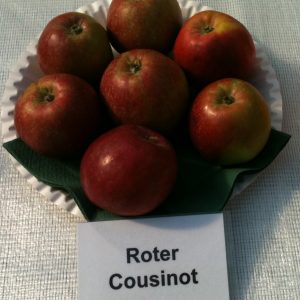 Purpurroter Cousinot - Apfelbaum – Alte Obstsorten Arboterra GmbH