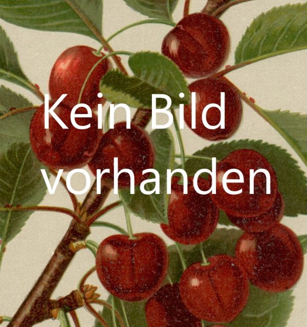 Kirschenbaum Muster Alte Obstsorten Arboterra Gmbh